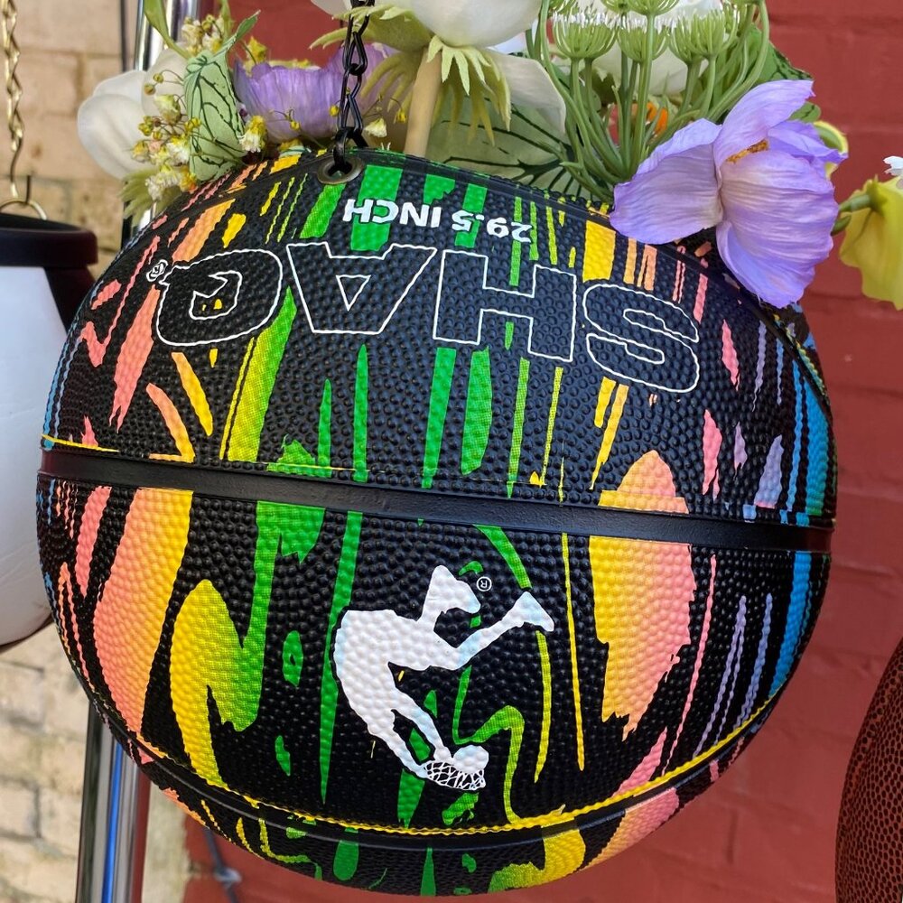 Basketball plant hanger